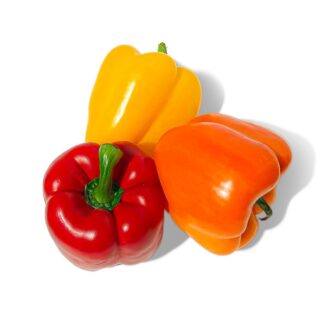 Pepper - Rainbow