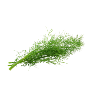 Dill
