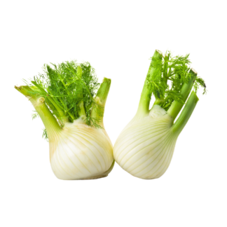 Fennel
