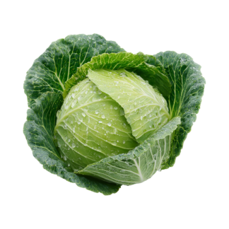 Green Cabbage
