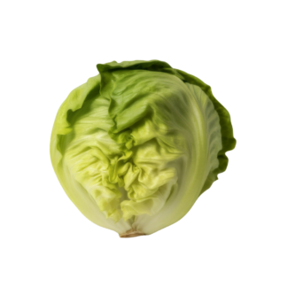 Iceburg Head Lettuce