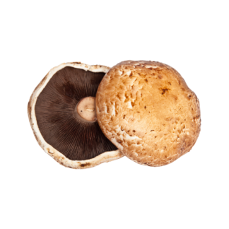 Portabella Mushrooms
