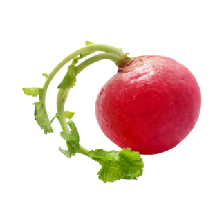 Radishes Red Bag