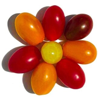 Medley Grape Tomatoes