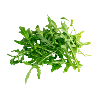 Arugula