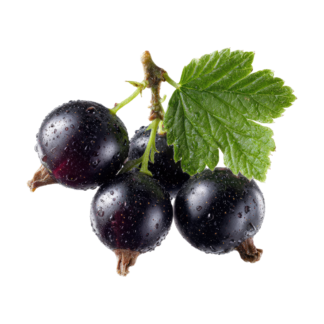 Black Plums