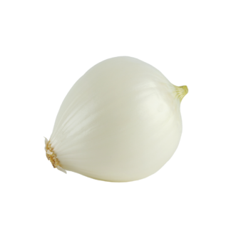White Onion