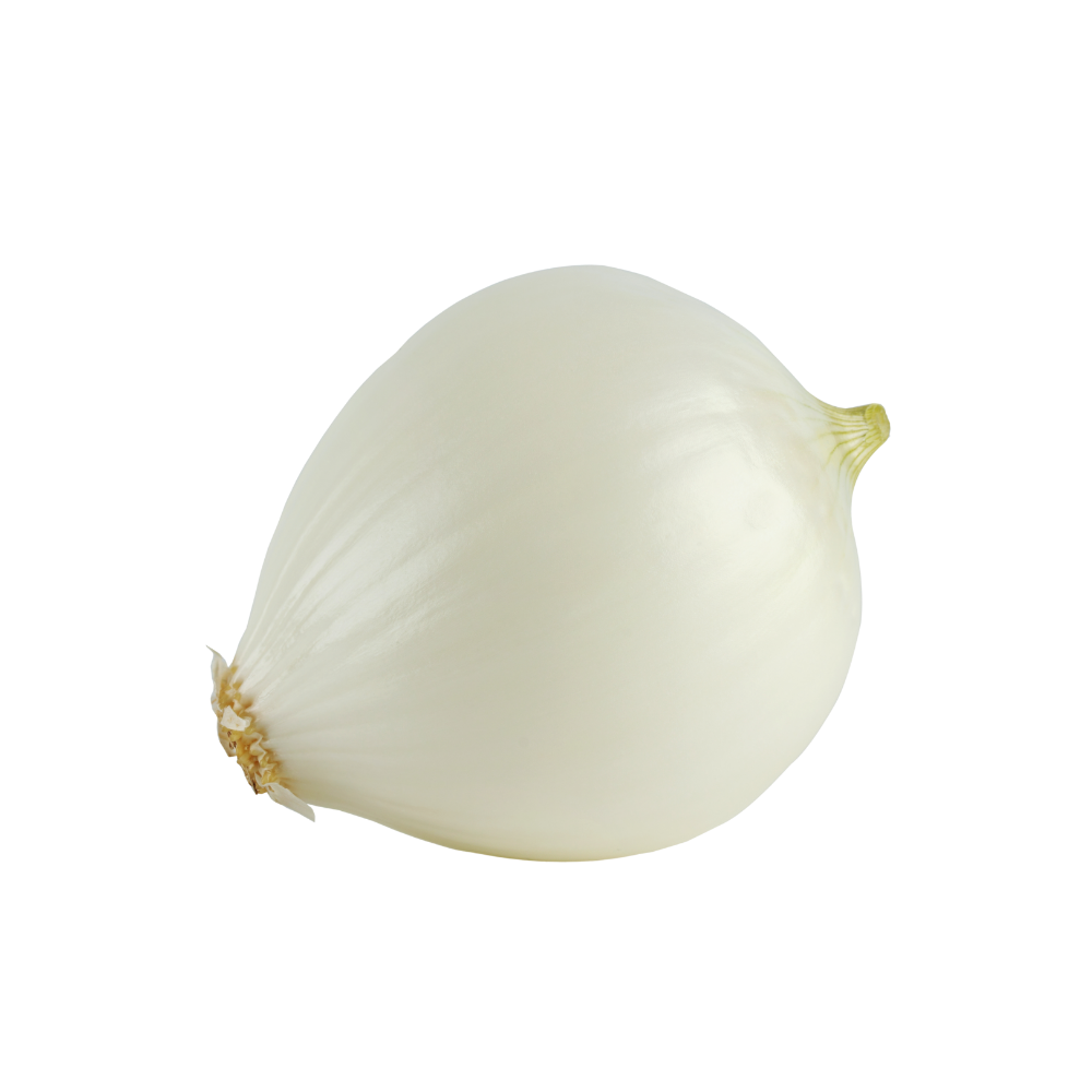 White Onion