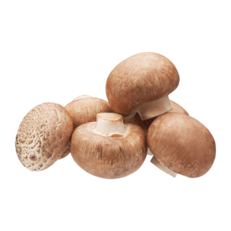 Button Mushroom