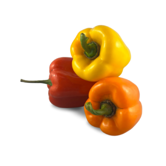 Rainbow Bell Peppers
