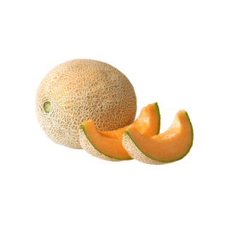 Cantaloupe