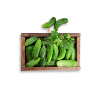 Mini Seedless Cucumbers