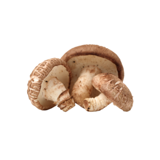 Shiitake Mushrooms