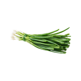 Spanish Green Onion