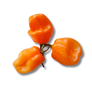 Habanero lbs