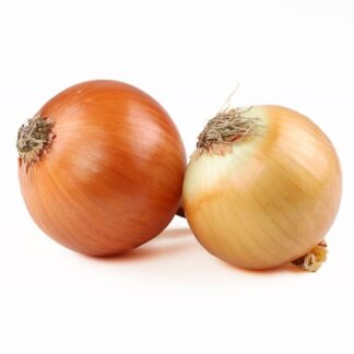 Jumbo Spanish Onions